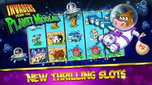 7spins casino